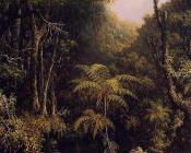 Brazilian Forest - 马丁·约翰逊·赫德